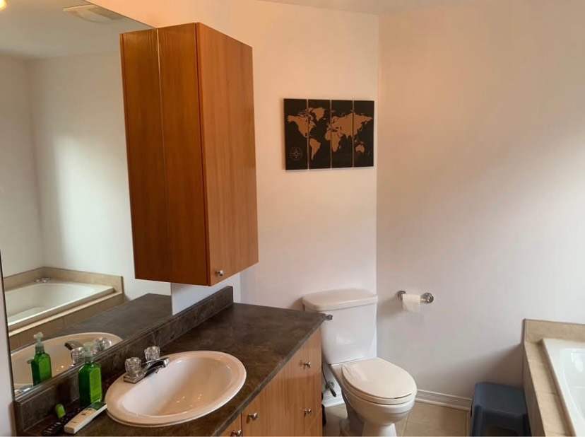Appartement à louer Deux-Montagnes photo 3