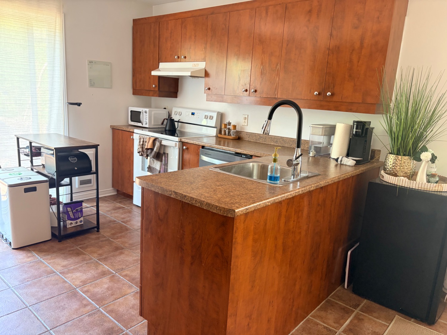 Appartement à louer Deux-Montagnes photo 6