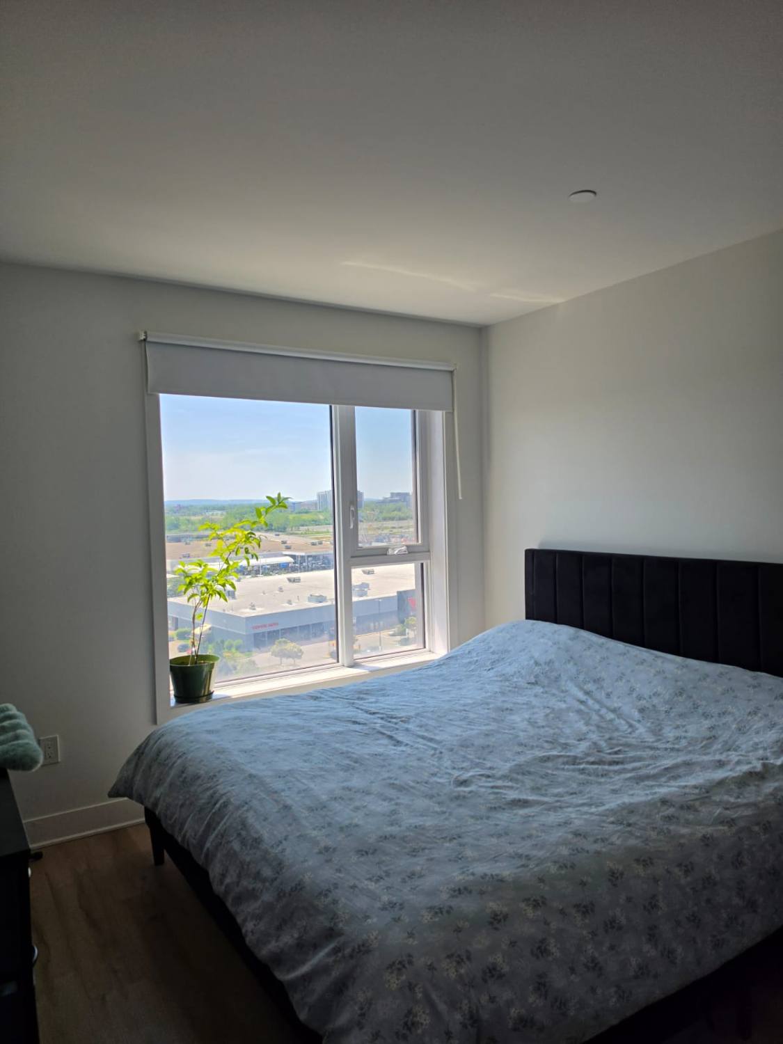 Appartement à louer Laval photo 4
